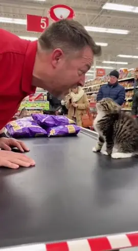 #cat #fyp #viral #funnyvideos #foryoupage 