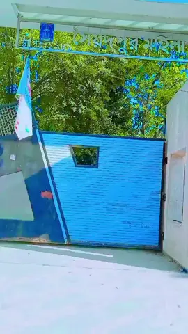 #viralvideo 