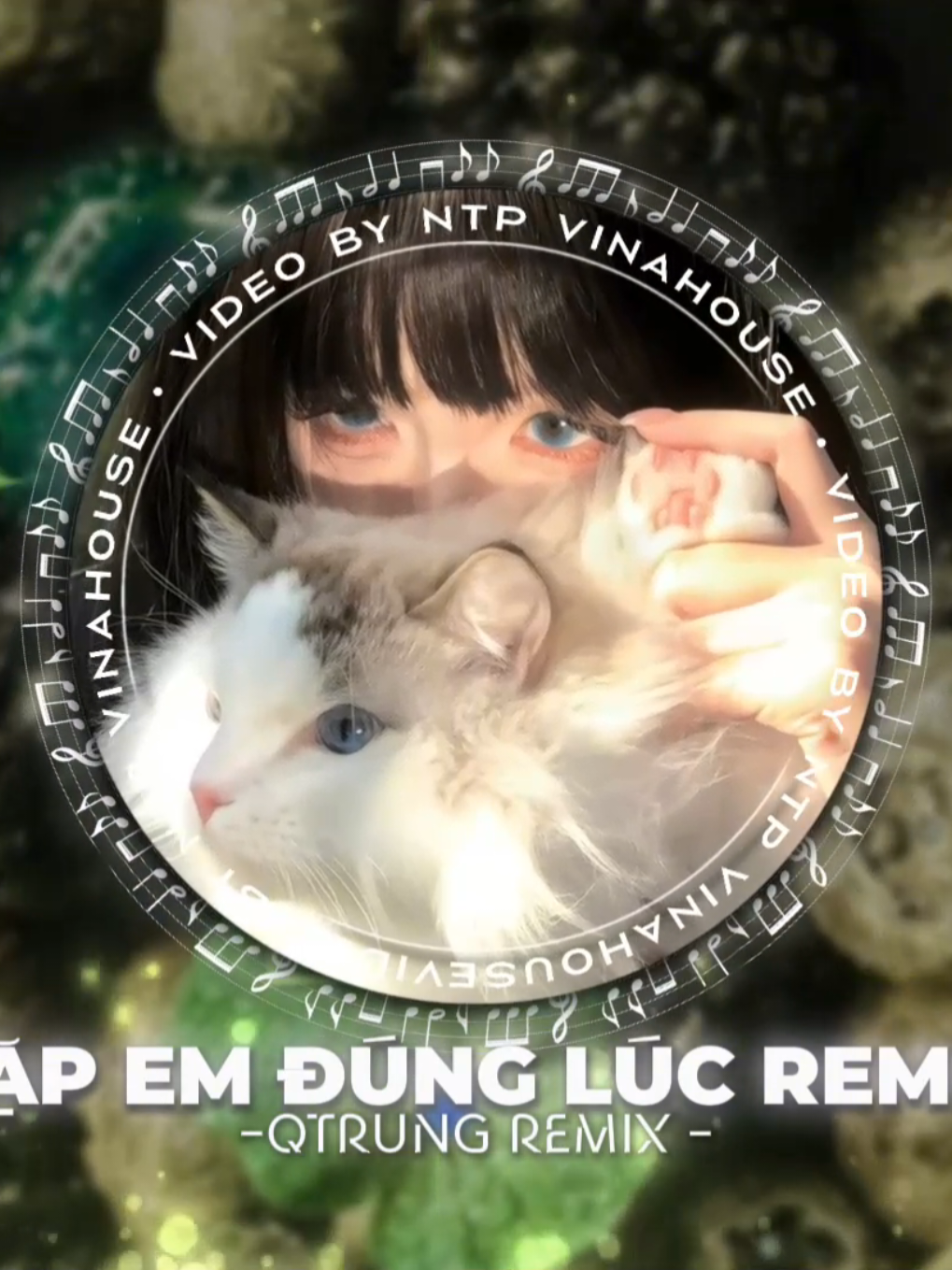 Gặp Em Đúng Lúc - Qtrung Remix - Ntp Vinahouse #gapemdungluc #qtrungremix #xuhuong #ntpvinahouse #9cmedia