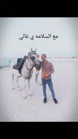 العشره الغاليه ربنا يعوض خير