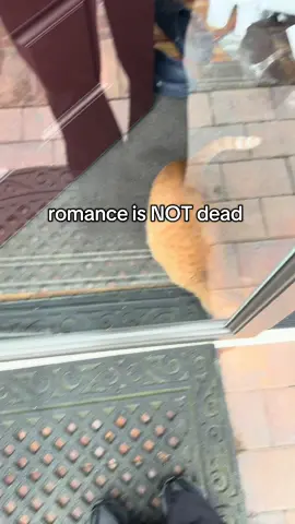 never a dull day with this man 😂 #romance #funny #couple 