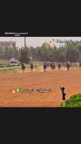 #اسطبلات_عمر_غرغار✅💚 #خيل_وخياله🐎 #فورسيه🏇🐎 #ليبيا🇱🇾 .