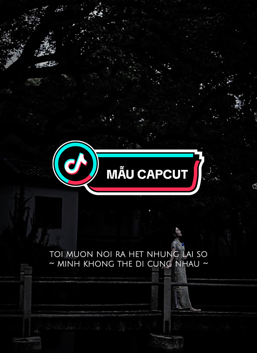 #CapCut Tôi muốn nói ra hết nhưng lại sợ mình không thể đi cùng nhau....#capcutpioneer #pioneertemplate #tuanviet_09 #capcut 