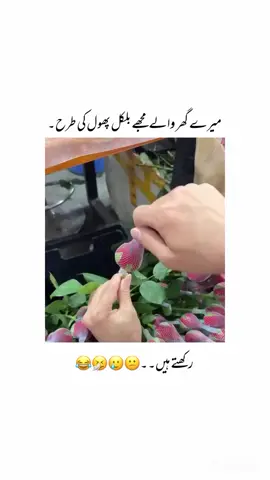 ✨🤧😅🥲🦋😁😂