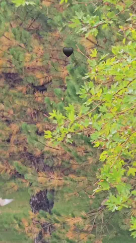 #eylülzede  #hikaye #storylikvideolar📌 #nigdeli51 #duygusalvideolar 