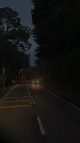 natural love 😍#natruallover #indianladytruck #fypシ゚viral #fyp #like #lorrydrivers 