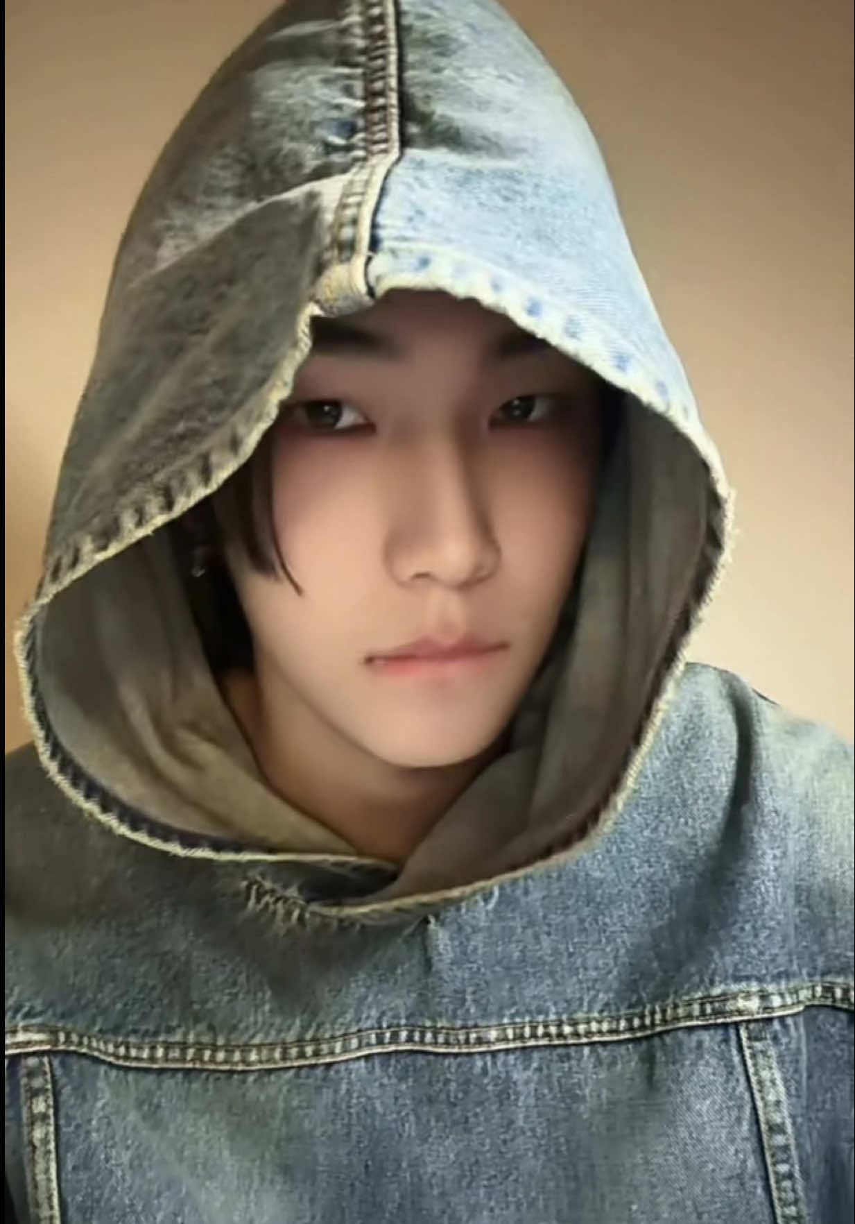inspired by my first day as a trainee - everyone was crazy good and I just stood there like 🧍‍♂️ #nian #니안 #godzilla #eminem #kpoptrainee 