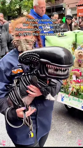 Halloween Dog Costume Parade#spirithalloween #halloween #usa #halloweencostume #tiktokhalloweencontest