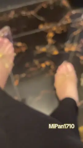 Sendal Harga murah tapi Dikaki jadi kelihatan Mahal😍