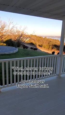 I'm like 95% sure that's correct. #taylorswift  #turkeytiktok 