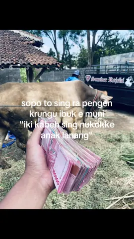 😇#peternakmuda #ibuhebat #fyp 