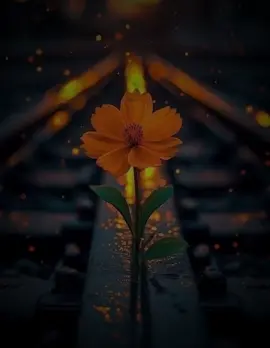 #CapCut #plzviral🥺🙏🙏foryoupage_💞🕋🕋🕋🕋🤲🥰❤️‍ wll 60k adaa iga dhiman🤝