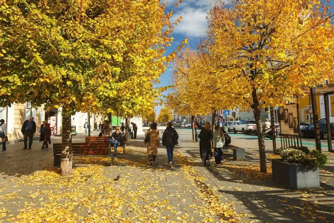 Clujul în haine de toamnă 🍂 Parcurile și străzile orașului s-au îmbrăcat în culori calde și plăcute, iar plimbările prin oraș au un farmec aparte. Vă doresc tuturor o toamnă frumoasă! #toamna #🍁 #clujnapoca 