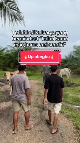 Bagian 59 : Bantu up abngku🔥 #peternaksapiindonesia #sapi #juragansapi #trending #padanglawas 