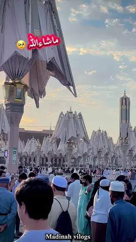 🥹💝💔#صلوا_على_رسول_الله #صلى_على_رسول_الله_صل_الله_عليه_وسلم #درودشریف_پڑھ_کر_آگے_شیئر_ضرور_کرے #viralvideo #madina 