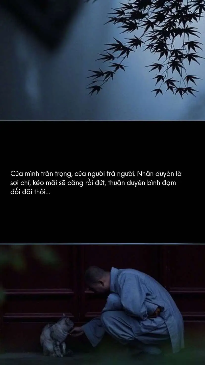 #manhan_22 #phatphapnhiemmau 