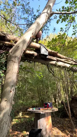 💩🍂
