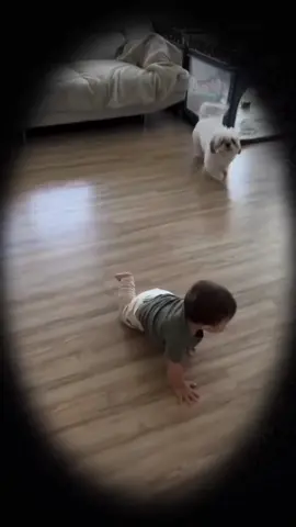 The Little Boy and His Puppy❤️🥰#dog #baby #pet #bestfriend #cute #Love #puppy #foryou #usa🇺🇸 