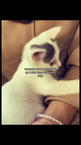 😔😔😔#anakkedua #manja #fypp 