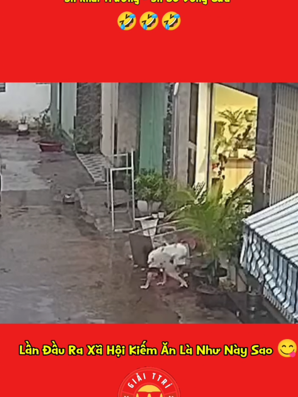 Chồng Ơi! Cứu Em