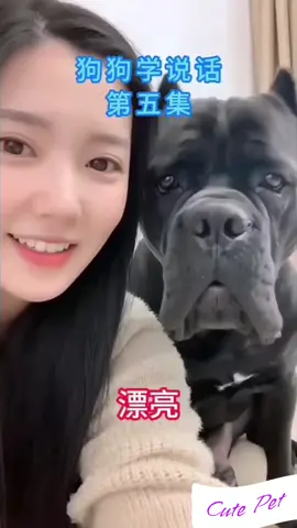 Cute Pet #TikTokAwardsVN #foryou 