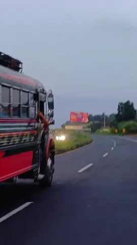 #palinescuintla #🇬🇹 