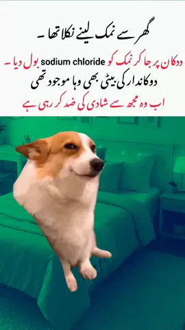 Ab Kiy Hoga 🥲 . . #unfreezemyaccount#memes_by_haseeb5#video#fyppppppppppppppppppppppp 