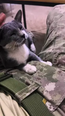 #komando #uzmancavuş #uzmancavuş #asker #subay 