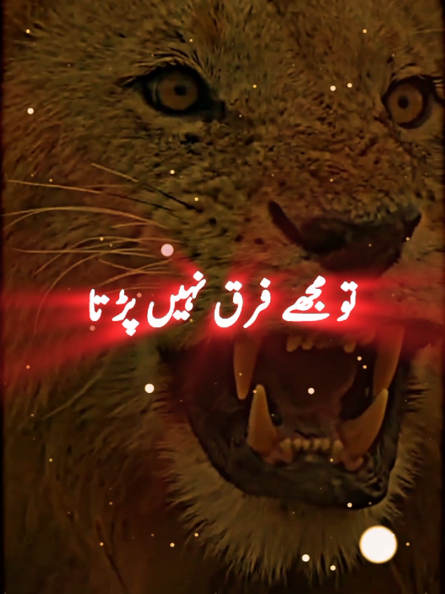 #foryoupage #tiktokviral #viraltiktok 