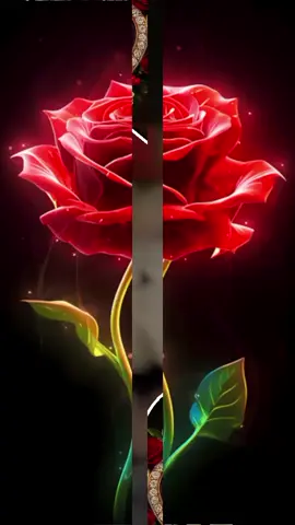 ❤️❤️❤️❤️❤️❤️