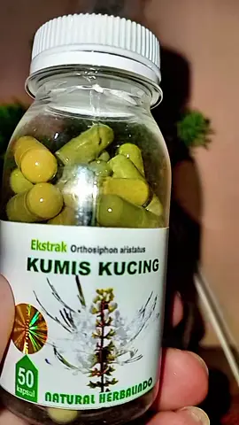 #KapsulDaunKumisKucingSehatkuHerbalTinggalMinum2-3×sehari#