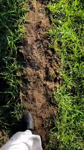 #صلاح_هليل #تسجيلات_2000 #قديمك_نديمك #ذكريات🌹🌹 #exsploe🎼🎹🎬 