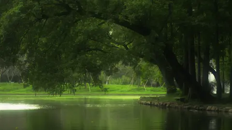 Thương đúng người là bình yên. Thương sai người là trưởng thành.  #caption #yenbinh #chualanh #thiennhien #trending 