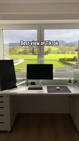 The vibe is crazy 🍁🍂🌳 #viral #xyzabc #desksetup #minimalism #windowsetup 