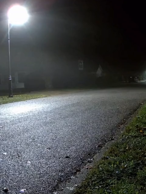 Sora_2 #sora #Sora2 #AIshorts #DancingFox #CCTVFootage #Veo3 #RealisticAI #AIVideo #MagicalMoment #NightFootage #ViralAI #fox