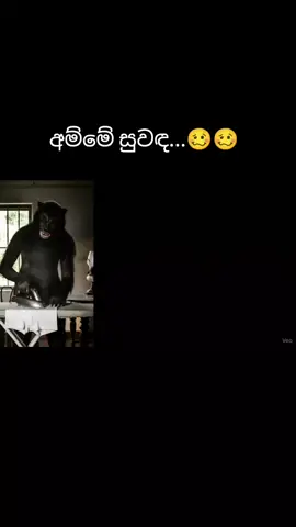තෙත ජොකා..🤏#new #ai #sinhalajoke #aiviral #comedyvideo 