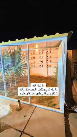 #هاشتاقات_تيك_توك_العرب #طيورالحب #بادجي #شعب_الصيني_ماله_حل😂😂 #فنجس 