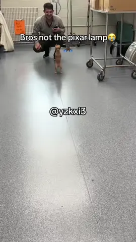 Follow for more recap #yzkxi3 #meme #fy 