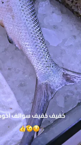 انا#ابوظبي_العين_دبي_شارقه_عجمان_الامارات #صافي #هاموره_بالشاطى 