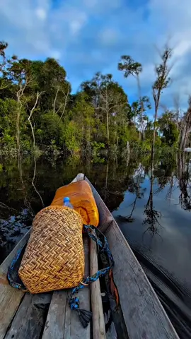 kali ini tembus kemana vt nih... #dayakkalimantan #lewatberanda #masukberanda  #fyp #viral 