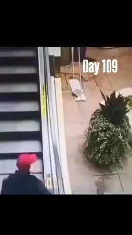 бесконечный двигатель