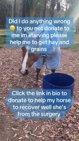 Please 🙏 help my baby she’s from a surgery and needs you she can speak to ask you help in less you click the link in bio to help and donate anything wether $10 $50 $100 $1000 to help her get supplements and hay pulse grains please 🙏 I beg you @Courtney @amysims4981 @cindy 🤍 @Torchy Swinson @grandma_droniak @☀️Mikayla☀️ @Angélique marquise @Ginger #horse #horsesontiktok #viral #fyp #horselovers 