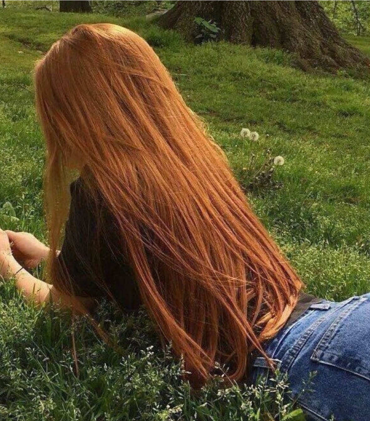 part five - ginger gair #ginger #hair #haircolor #redhead #fyp 