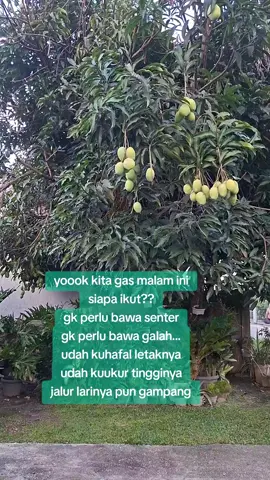 pokoknya rencana sudah tersusun rapih, pembagian hasill sama rata ...  #fypviralシ #lucu 