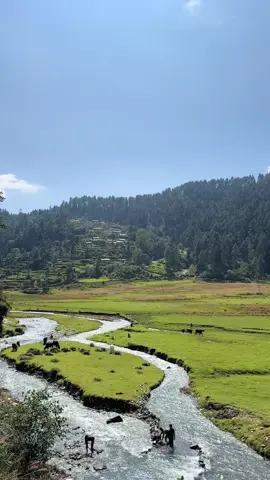 out of the noise in nature  #foryou #jiri #dolakha  #fyp 