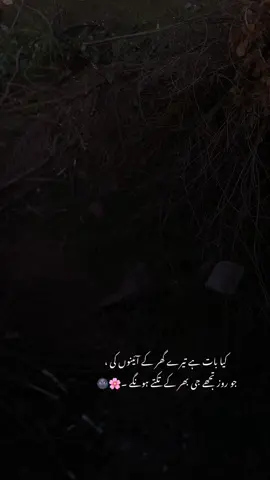 کیا بات ہے تیرے گھر کے آئینوں کی ، جو روز تجھے جی بھر کے تکتے ہونگے ۔🌚🤍