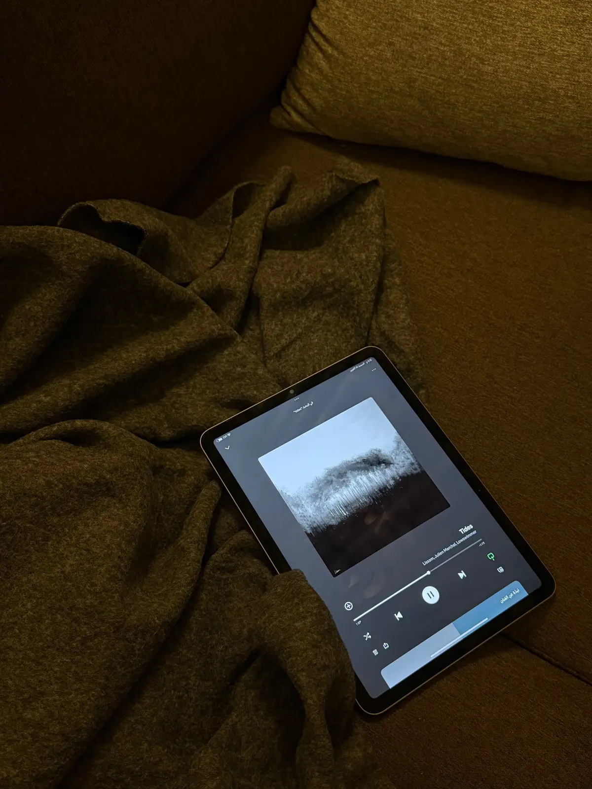 #fyp #foryou #🐈‍⬛ #explore 