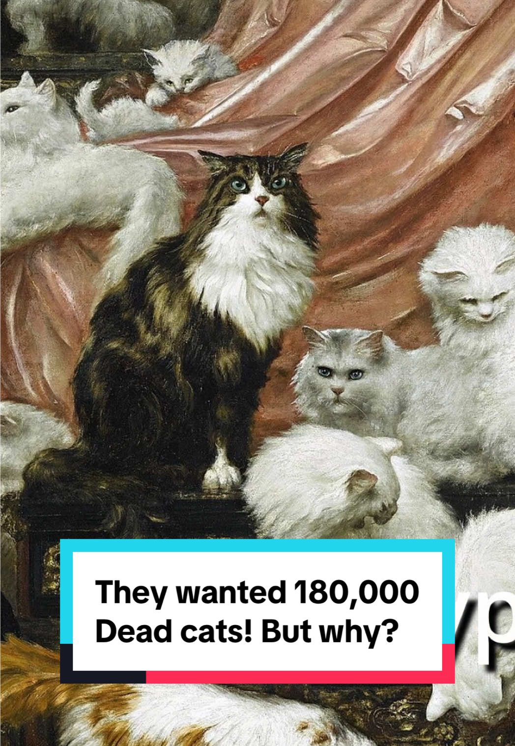 The Victorians who wanted 180,000 dead cats #Science #History #truestory #fact #cat 