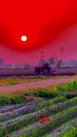 #میرا_سہنا_پنڈ_بلندی_اوتاڑ_ضلع_قصور🌾🍃❤️🌅🌴🍂 #danishmayo1 #danishmayo 