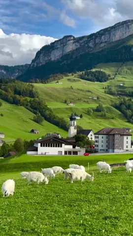 Kadhabee halkii aanlahaa🇨🇭⛰️❤️‍🩹#switzerland🇨🇭 